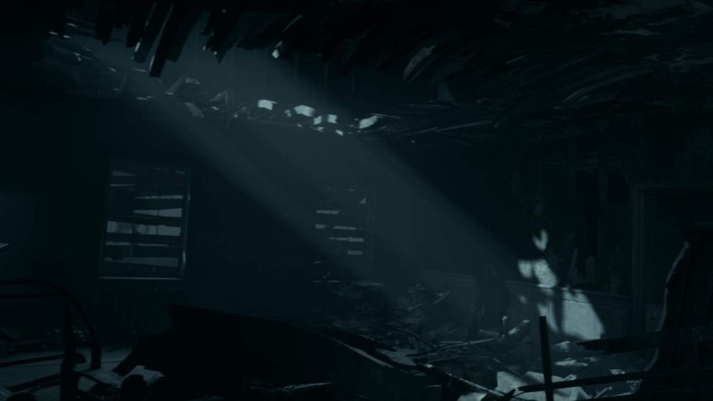 The Dark Pictures: House of Ashes – PS5