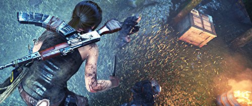 Rise of the Tomb Raider – PS4