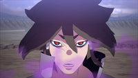 NARUTO X BORUTO Ultimate Ninja STORM CONNECTIONS – PS4