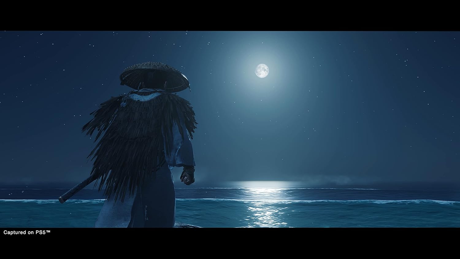Ghost of Tsushima Director's Cut – PS5