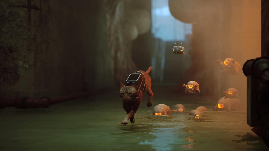 Stray – PS5