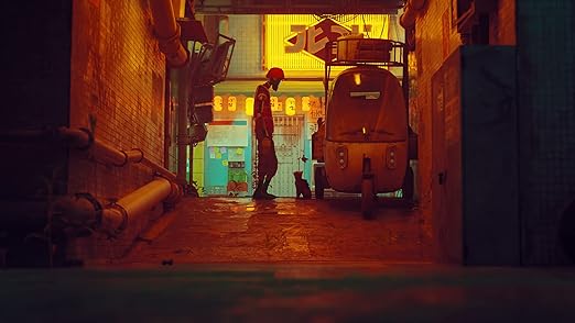 Stray – PS4