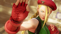 Street Fighter V – PS4 (Used)