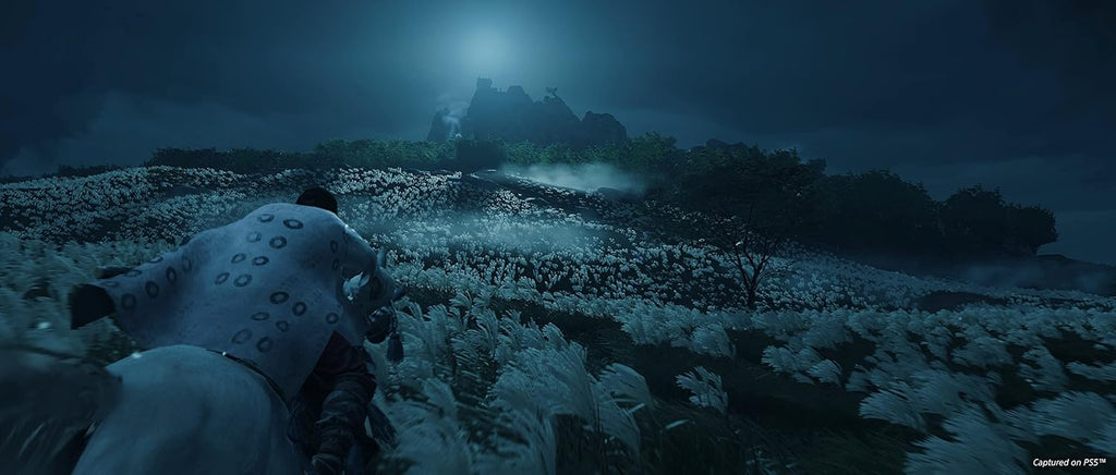 Ghost of Tsushima Director’s Cut – PS4