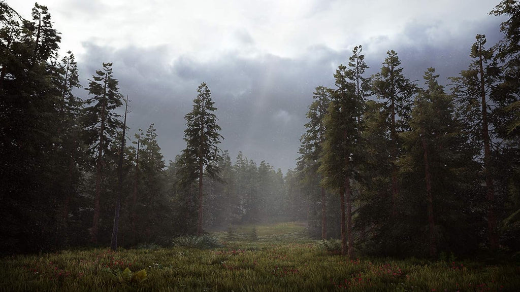 Hunting Simulator 2 – PS4