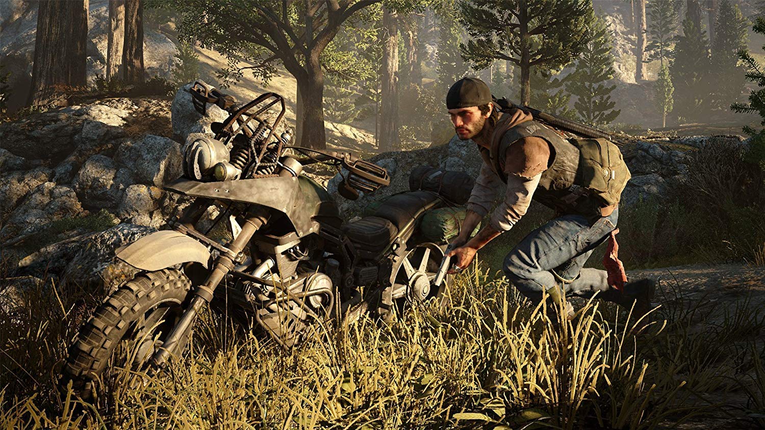 Days Gone – PS4 (Used)
