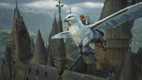 Hogwarts Legacy – Nintendo Switch 2 (New)