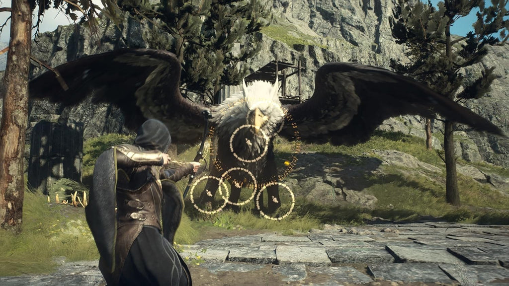 Dragon’s Dogma 2 – PS5