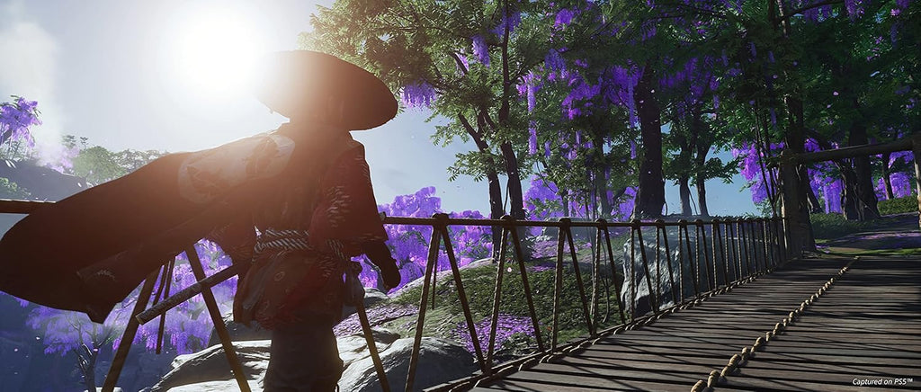 Ghost of Tsushima Director’s Cut – PS4