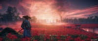 Ghost of Tsushima Director’s Cut – PS4