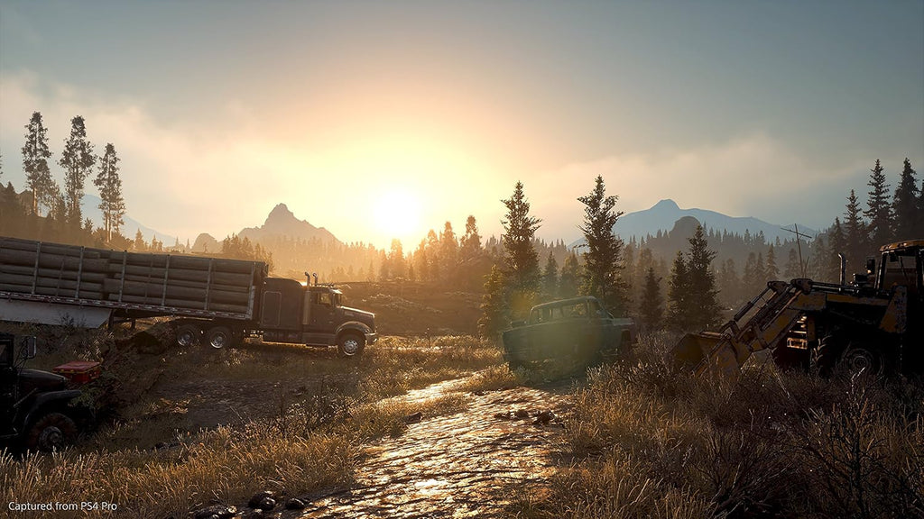Days Gone – PS4