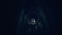 REANIMAL - PlayStation 5 (Used)